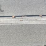 2021_10_13_22_43_IMG_5571