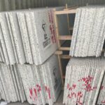 2023_03_06_20_05_IMG_5450