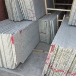 2024_02_29_12_15_IMG_2251