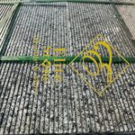 2025_11_08_14_19_IMG_7783