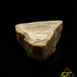 2025_11_15_21_22_IMG_0487